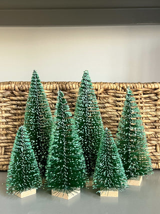 Frosty Bottle Brush Christmas Tree Plants, 6-Piece Set